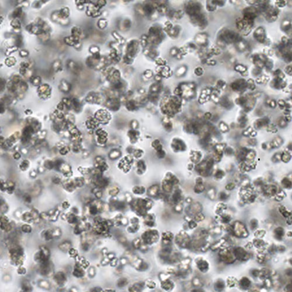 Screening Kit: 4 Hydrogels, 6x Hydrogels, 3-5 Samples Each