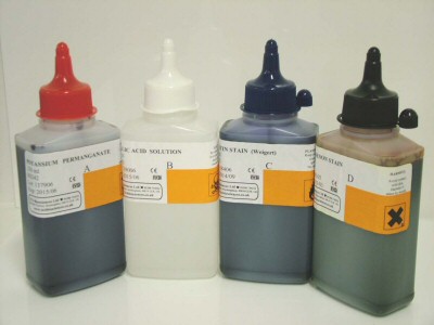 Elastin Stain Kit - Weigert/Van Gieson Elastin Stain Kit - Weigert/Van Gieson