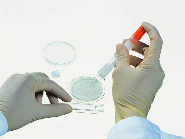 Coliform Isolation Transwab