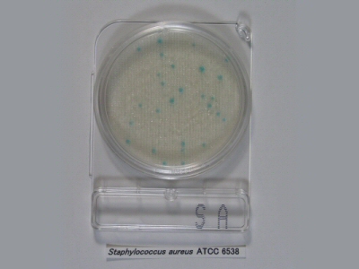 Compact Dry™ Chromogenic Media Plates