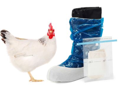 Poultry Booties and Pull String Swabs