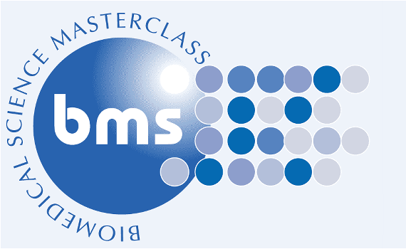 BMS Masterclass 2017